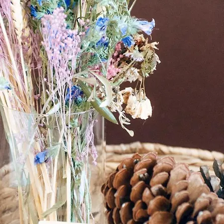 Tatil Evi Casa Da Figueira