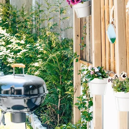 Casa Da Figueira Tatil Evi *