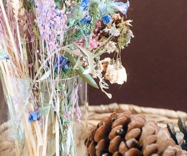 Hébergement de vacances Casa Da Figueira